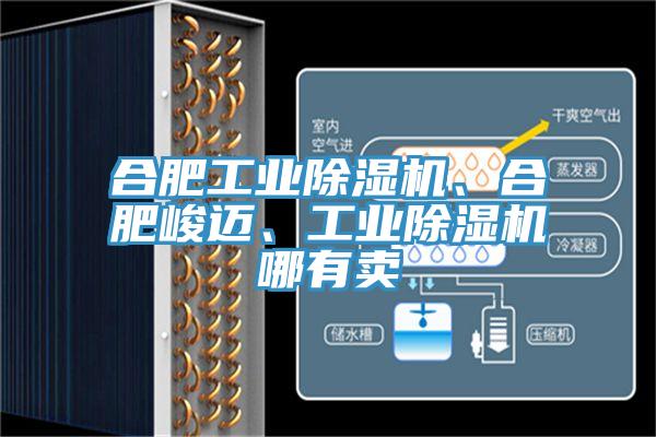 合肥工業(yè)除濕機(jī)、合肥峻邁、工業(yè)除濕機(jī)哪有賣(mài)