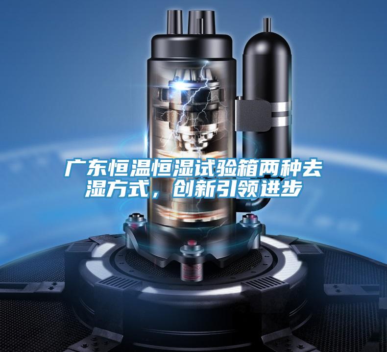 廣東恒溫恒濕試驗箱兩種去濕方式，創(chuàng)新引領(lǐng)進(jìn)步