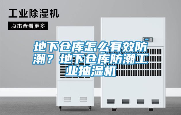 地下倉庫怎么有效防潮？地下倉庫防潮工業(yè)抽濕機
