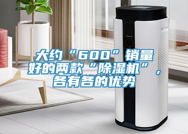 大約“600”銷(xiāo)量好的兩款“除濕機(jī)”，各有各的優(yōu)勢(shì)