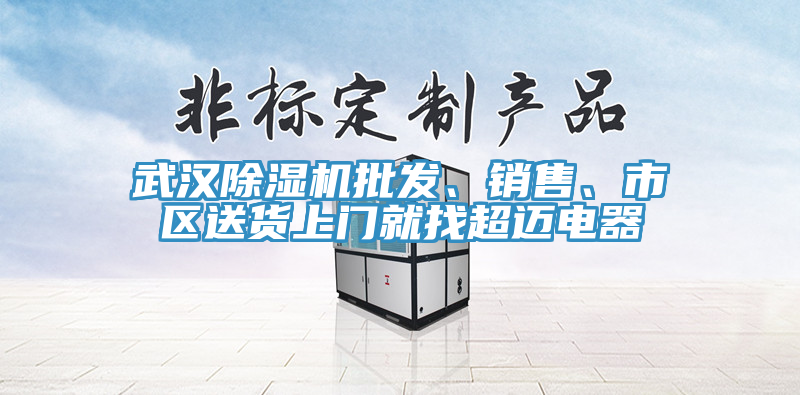 武漢除濕機(jī)批發(fā)、銷售、市區(qū)送貨上門就找超邁電器