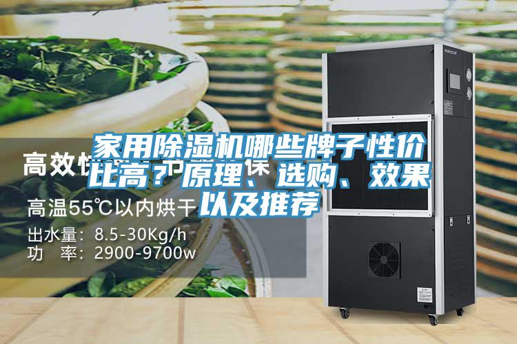 家用除濕機哪些牌子性價比高？原理、選購、效果以及推薦