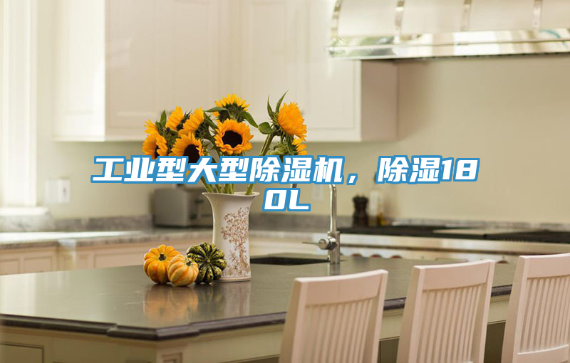 工業(yè)型大型除濕機，除濕180L