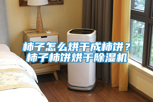柿子怎么烘干成柿餅？柿子柿餅烘干除濕機(jī)
