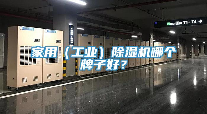 家用（工業(yè)）除濕機哪個牌子好？