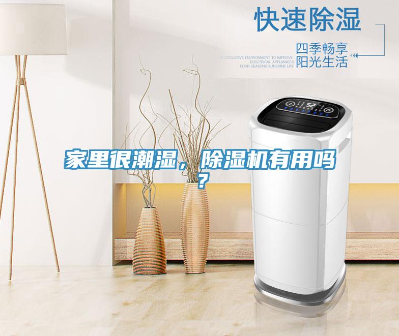 家里很潮濕，除濕機(jī)有用嗎？