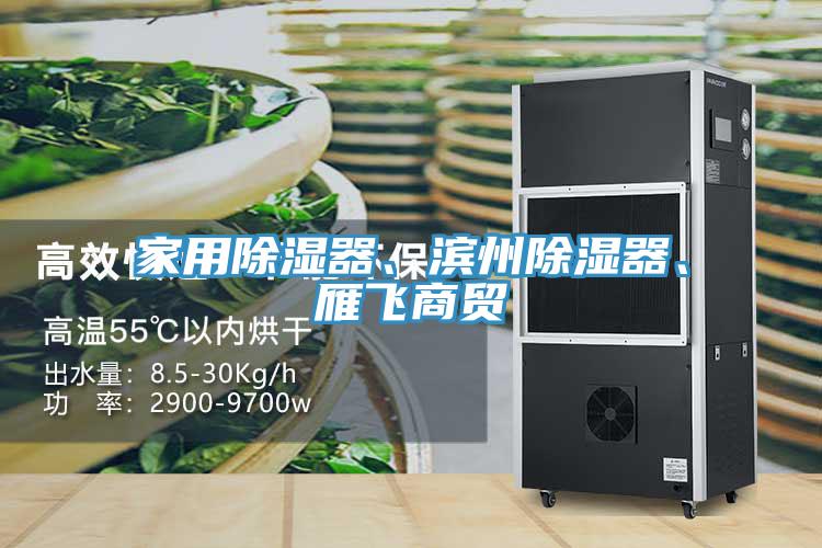 家用除濕器、濱州除濕器、雁飛商貿(mào)