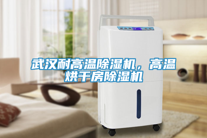 武漢耐高溫除濕機，高溫烘干房除濕機