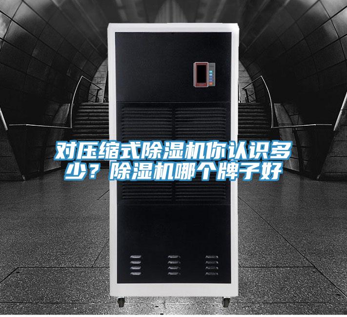 對(duì)壓縮式除濕機(jī)你認(rèn)識(shí)多少？除濕機(jī)哪個(gè)牌子好