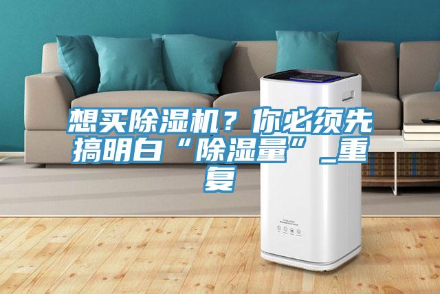 想買除濕機？你必須先搞明白“除濕量”_重復(fù)