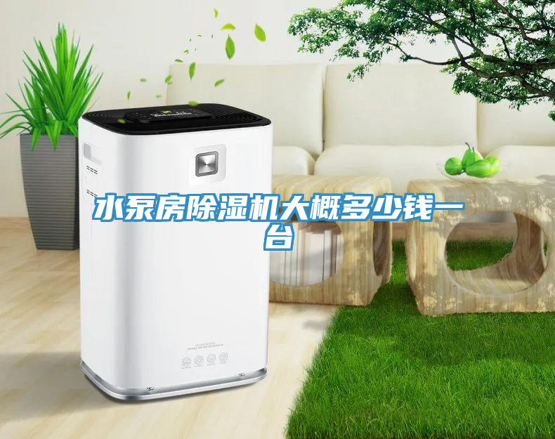 水泵房除濕機(jī)大概多少錢(qián)一臺(tái)