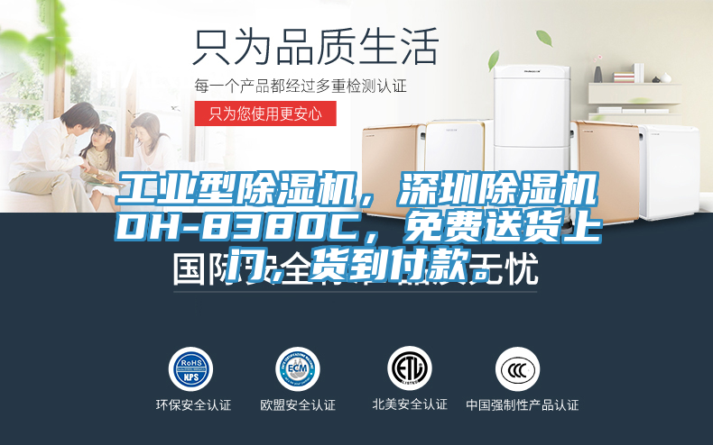 工業(yè)型除濕機，深圳除濕機DH-8380C，免費送貨上門，貨到付款。