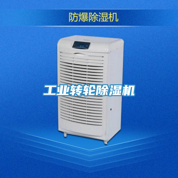 工業(yè)轉輪除濕機