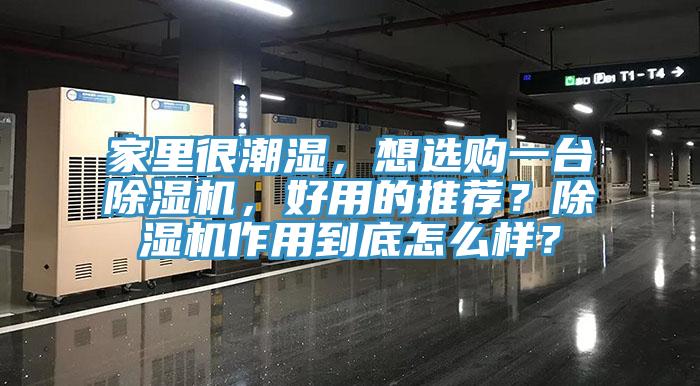 家里很潮濕，想選購一臺(tái)除濕機(jī)，好用的推薦？除濕機(jī)作用到底怎么樣？