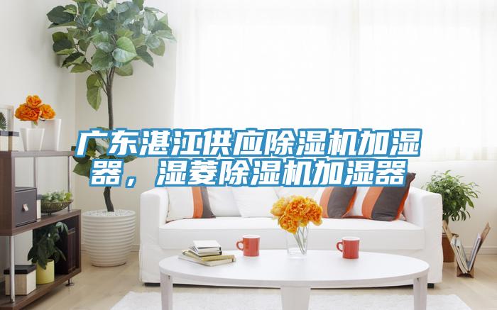 廣東湛江供應除濕機加濕器，濕菱除濕機加濕器