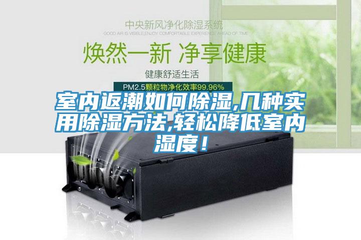 室內(nèi)返潮如何除濕,幾種實(shí)用除濕方法,輕松降低室內(nèi)濕度！