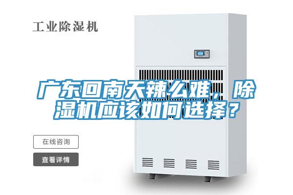 廣東回南天辣么難，除濕機(jī)應(yīng)該如何選擇？