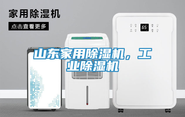 山東家用除濕機，工業(yè)除濕機