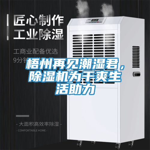 梧州再見潮濕君，除濕機為干爽生活助力
