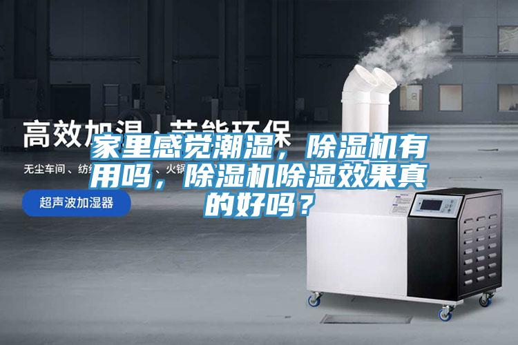 家里感覺潮濕，除濕機(jī)有用嗎，除濕機(jī)除濕效果真的好嗎？