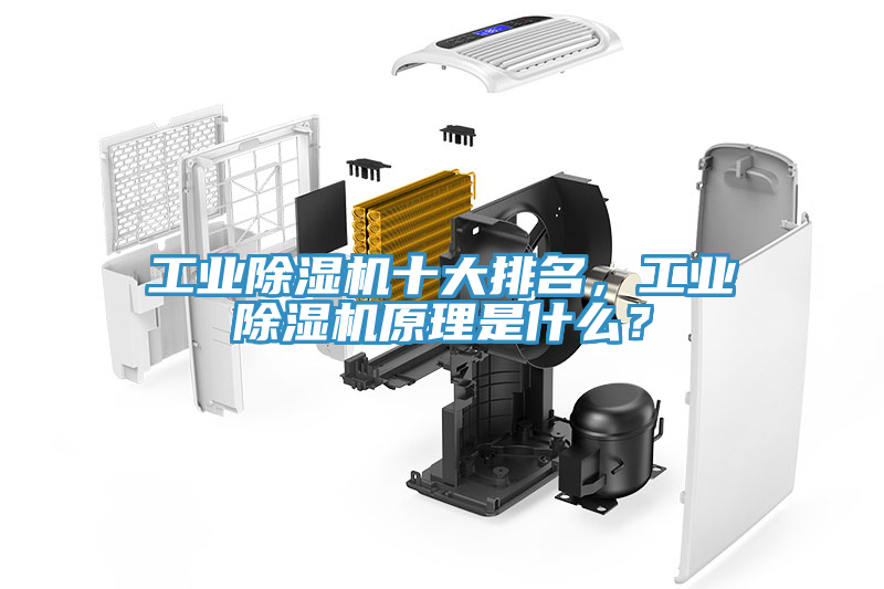 工業(yè)除濕機(jī)十大排名，工業(yè)除濕機(jī)原理是什么？