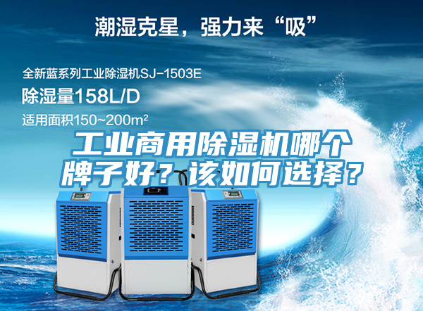 工業(yè)商用除濕機哪個牌子好？該如何選擇？