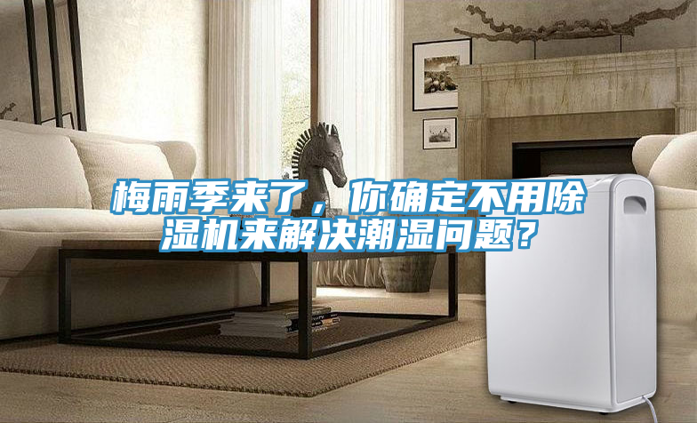 梅雨季來了，你確定不用除濕機來解決潮濕問題？