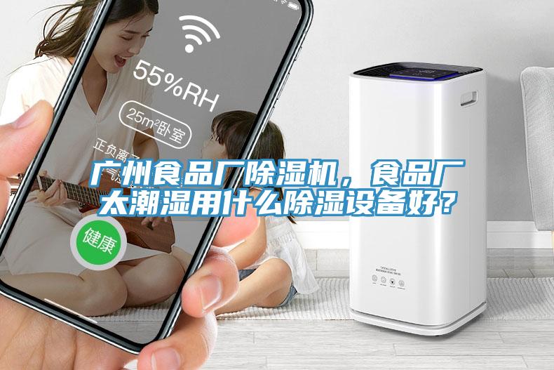 廣州食品廠除濕機，食品廠太潮濕用什么除濕設備好？