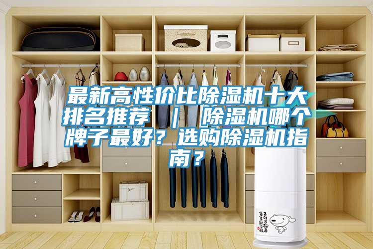 最新高性價比除濕機(jī)十大排名推薦 ｜ 除濕機(jī)哪個牌子最好？選購除濕機(jī)指南？