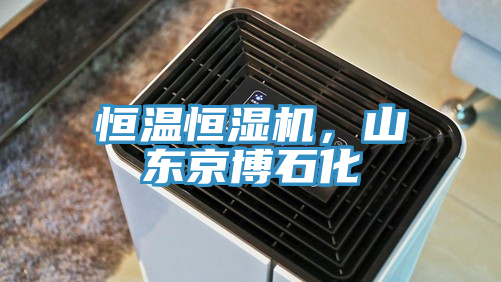 恒溫恒濕機(jī)，山東京博石化