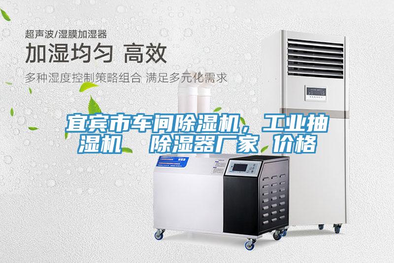 宜賓市車間除濕機，工業(yè)抽濕機  除濕器廠家 價格