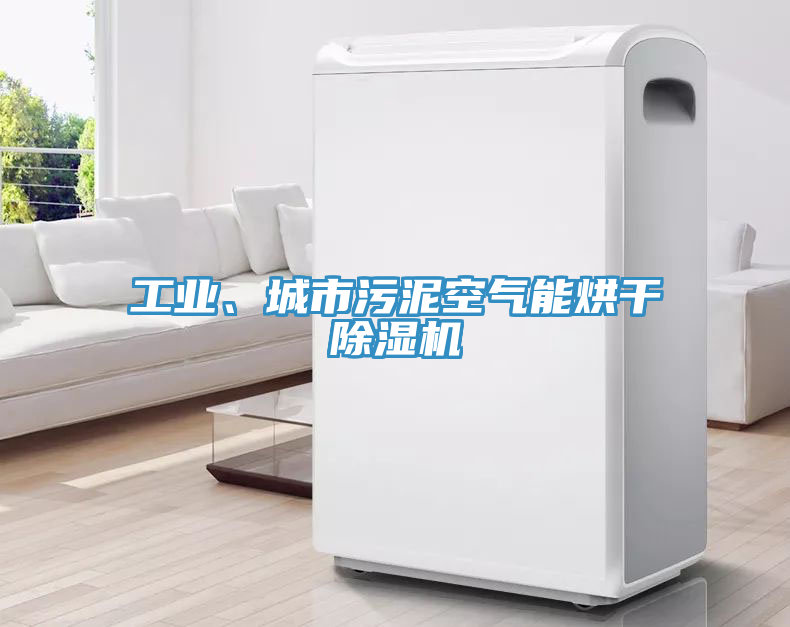 工業(yè)、城市污泥空氣能烘干除濕機