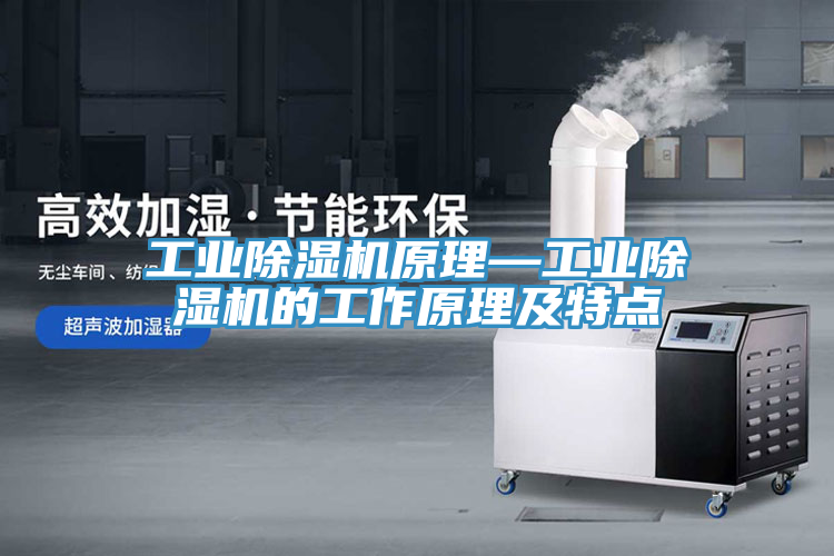 工業(yè)除濕機(jī)原理—工業(yè)除濕機(jī)的工作原理及特點