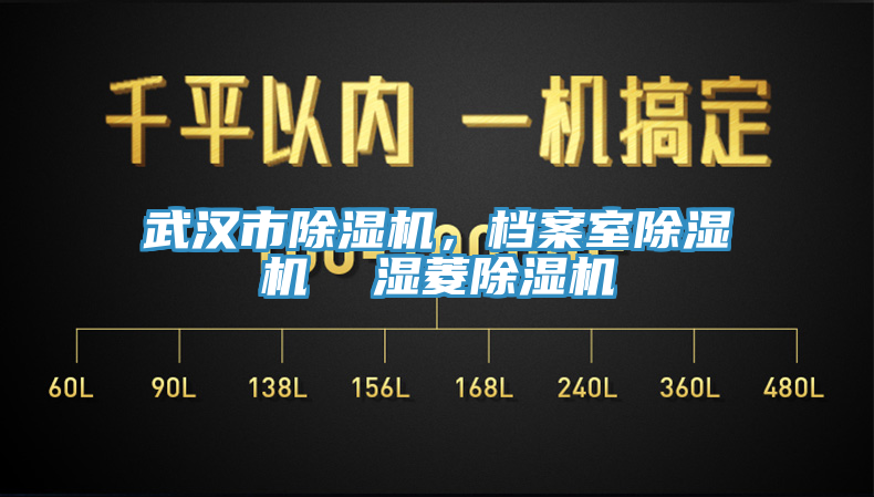 武漢市除濕機，檔案室除濕機  濕菱除濕機