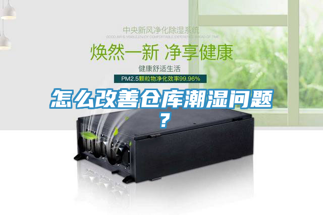 怎么改善倉庫潮濕問題？