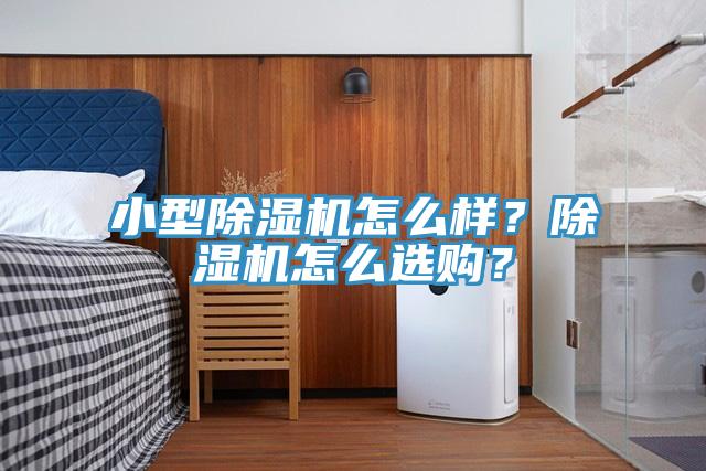 小型除濕機怎么樣？除濕機怎么選購？