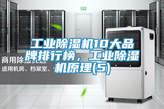 工業(yè)除濕機10大品牌排行榜，工業(yè)除濕機原理(5)