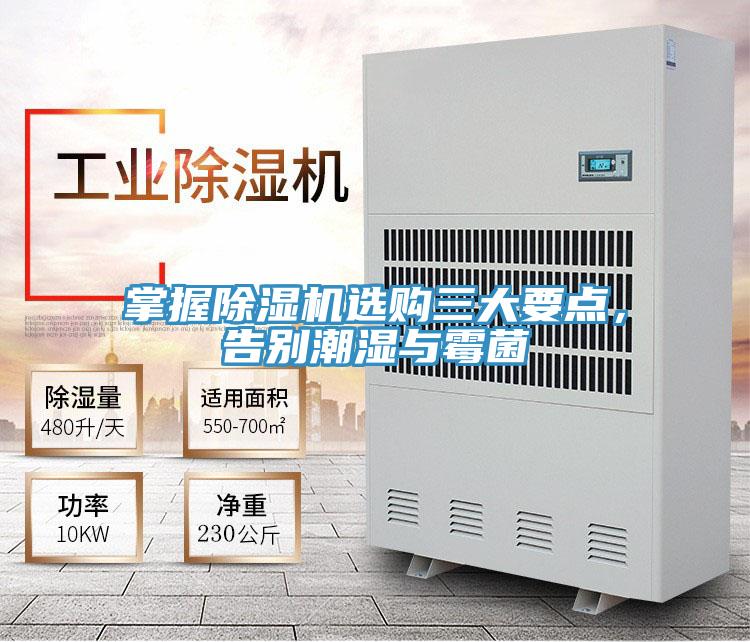 掌握除濕機選購三大要點，告別潮濕與霉菌