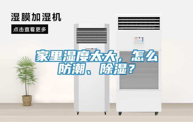 家里濕度太大，怎么防潮、除濕？