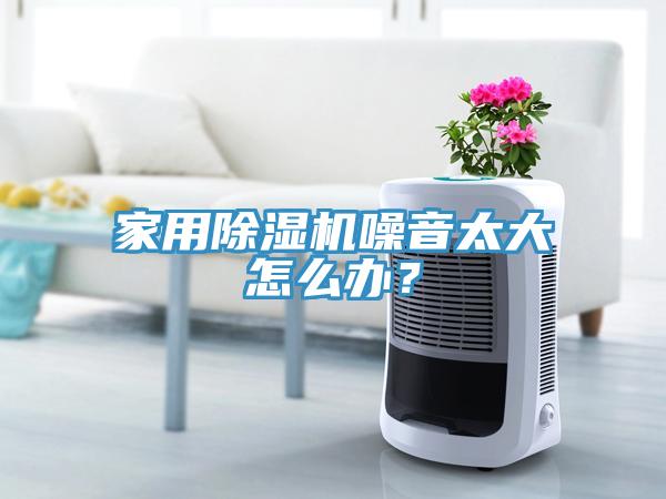 家用除濕機噪音太大怎么辦？