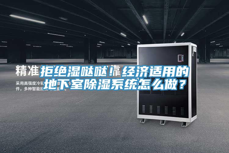 拒絕濕噠噠！經(jīng)濟(jì)適用的地下室除濕系統(tǒng)怎么做？