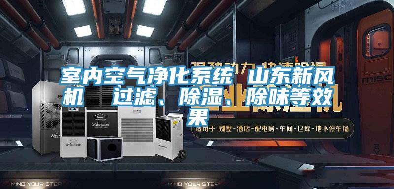 室內(nèi)空氣凈化系統(tǒng) 山東新風(fēng)機(jī)  過濾、除濕、除味等效果