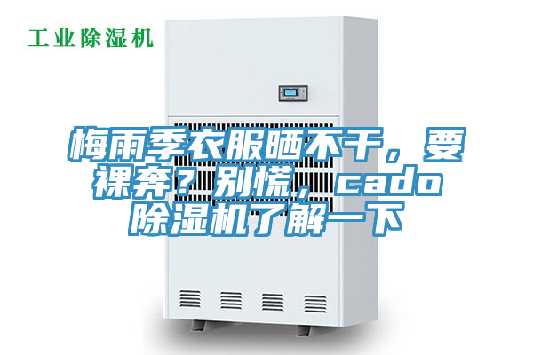 梅雨季衣服曬不干，要裸奔？別慌，cado除濕機了解一下