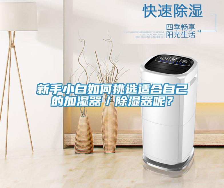 新手小白如何挑選適合自己的加濕器／除濕器呢？