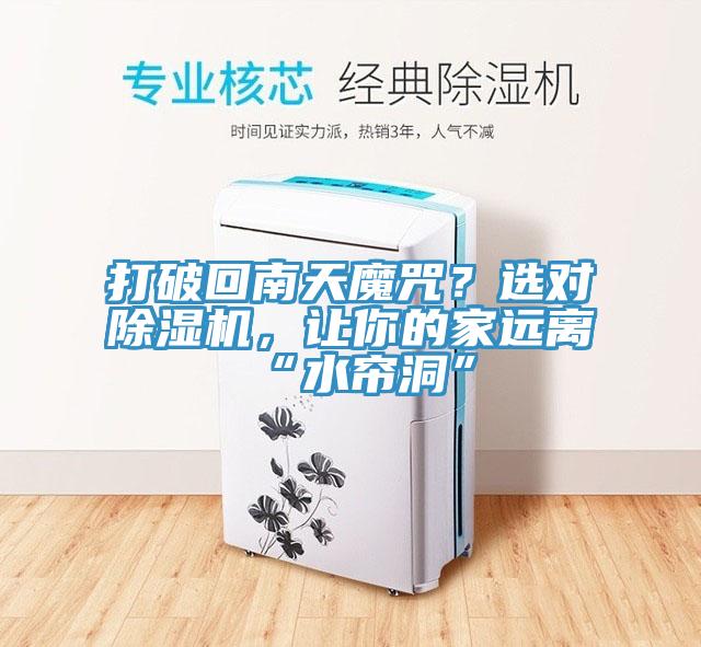 打破回南天魔咒？選對除濕機，讓你的家遠離“水簾洞”