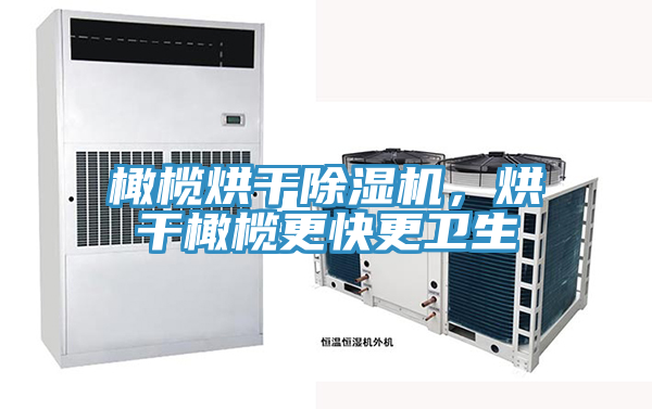 橄欖烘干除濕機，烘干橄欖更快更衛(wèi)生