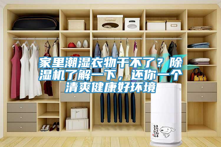 家里潮濕衣物干不了？除濕機(jī)了解一下，還你一個(gè)清爽健康好環(huán)境