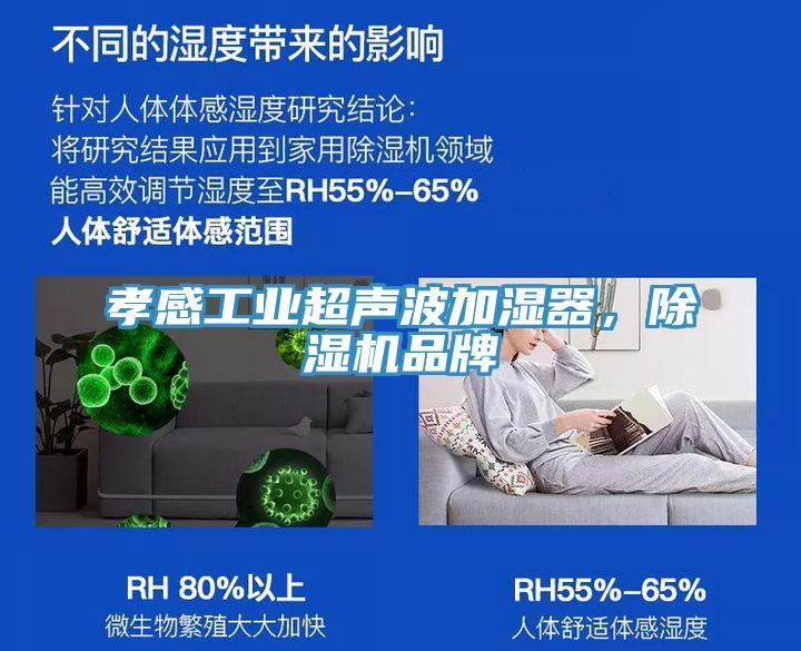 孝感工業(yè)超聲波加濕器，除濕機(jī)品牌