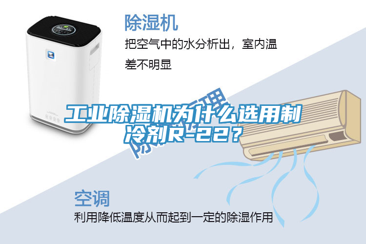 工業(yè)除濕機(jī)為什么選用制冷劑R-22？