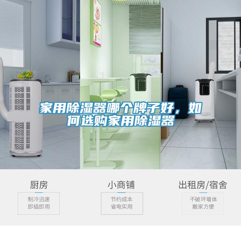 家用除濕器哪個(gè)牌子好，如何選購家用除濕器